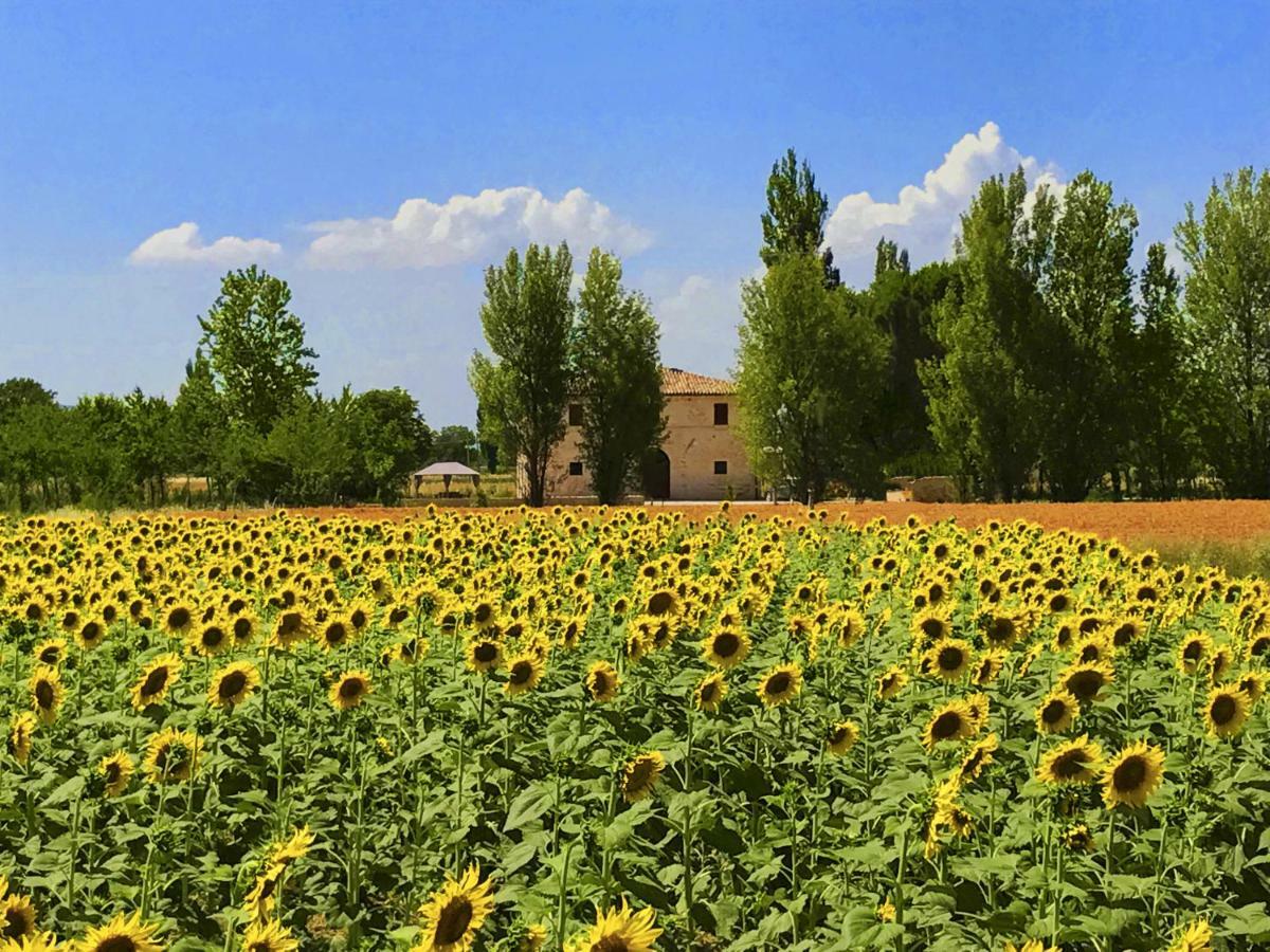 Villa Licinia Фолиньо Экстерьер фото